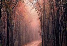 亚星体育：U20国足主帅久尔杰维奇：首战赢球至关重要.