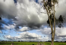 2025年全国业余女子围棋锦标赛在秦皇岛开幕.